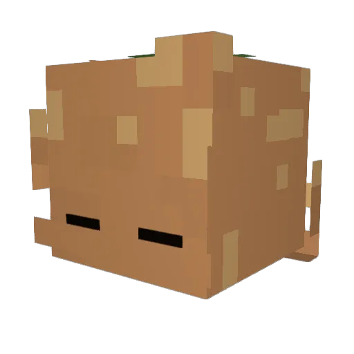 rnnagus Minecraft avatar head, 3D render