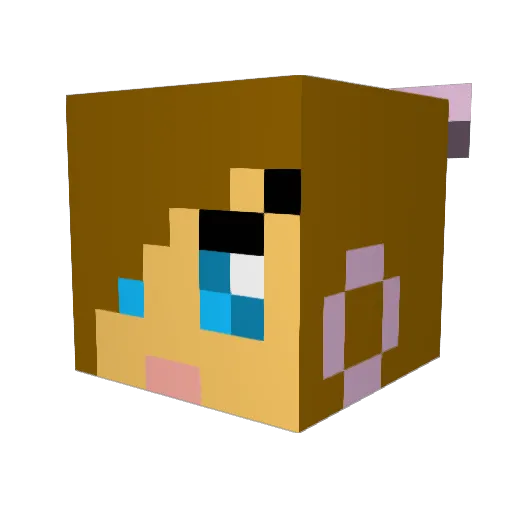 rnnewman Minecraft avatar head, 3D render