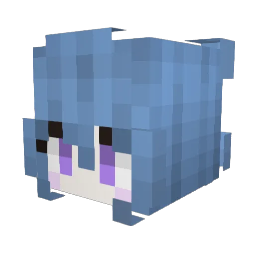 rnom1 Minecraft avatar head, 3D render