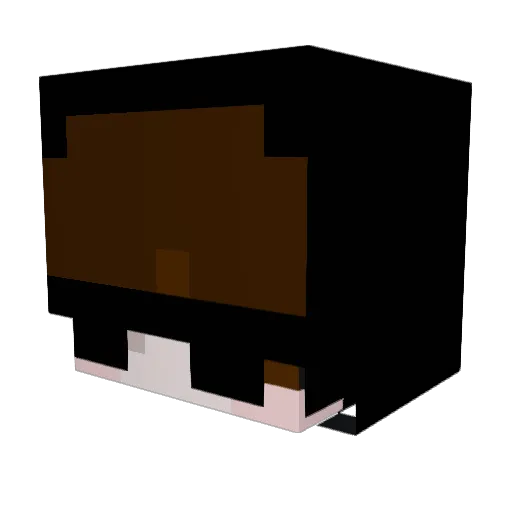 rnoodle420 Minecraft avatar head, 3D render