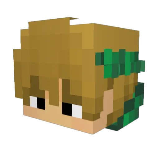 rnovak201 Minecraft avatar head, 3D render