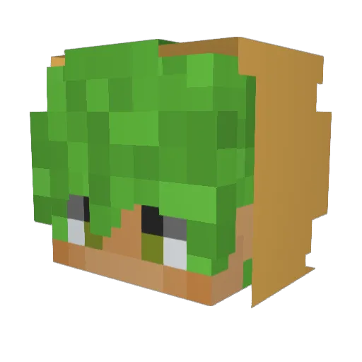 rnr1289 Minecraft avatar head, 3D render