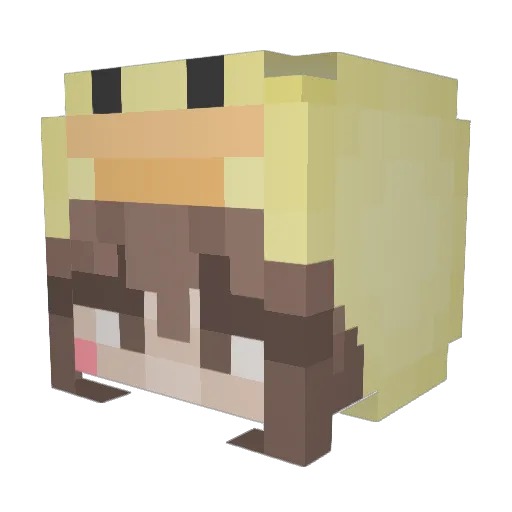 ro_bear9 Minecraft avatar head, 3D render