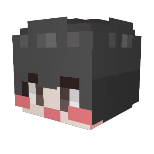 roa713 Minecraft avatar head, 3D render