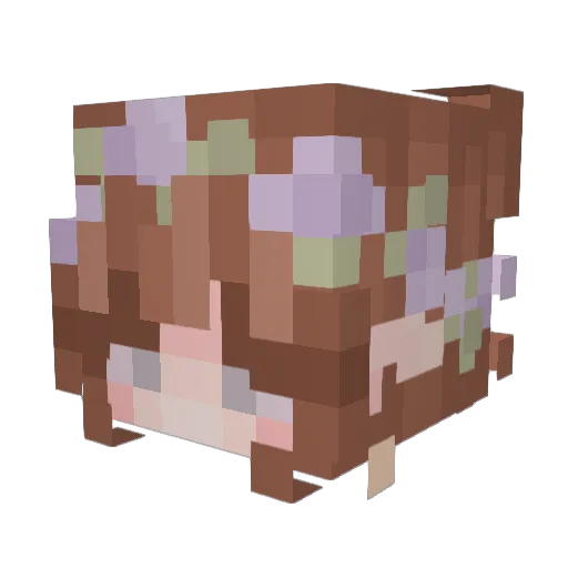 roaas Minecraft avatar head, 3D render