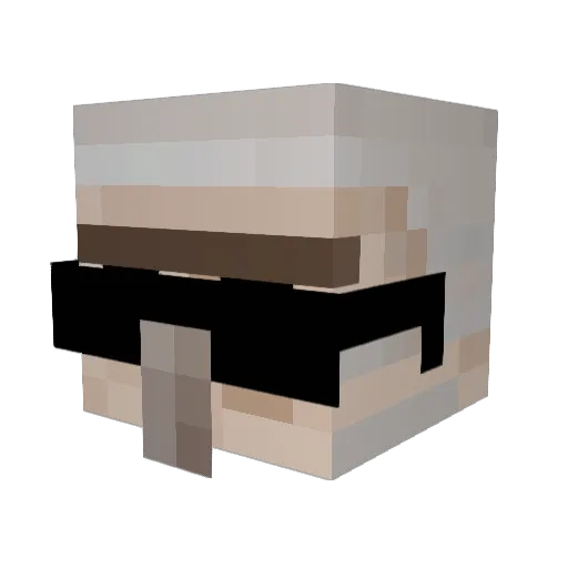 roachcoach Minecraft avatar head, 3D render