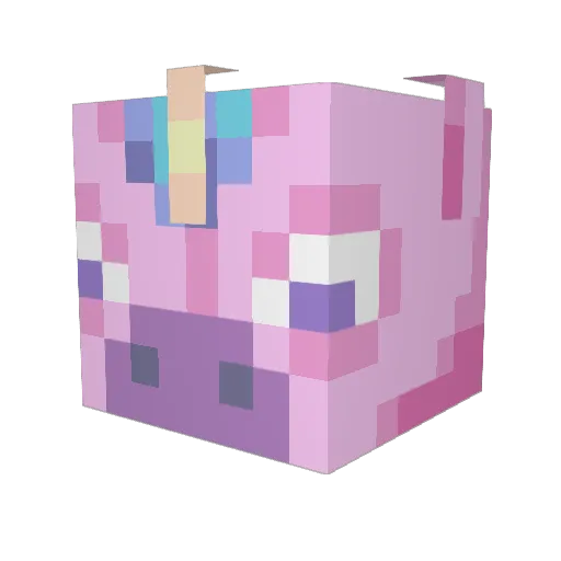 roachsoda Minecraft avatar head, 3D render
