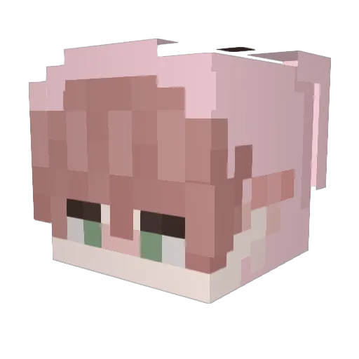 roadkillbones Minecraft avatar head, 3D render