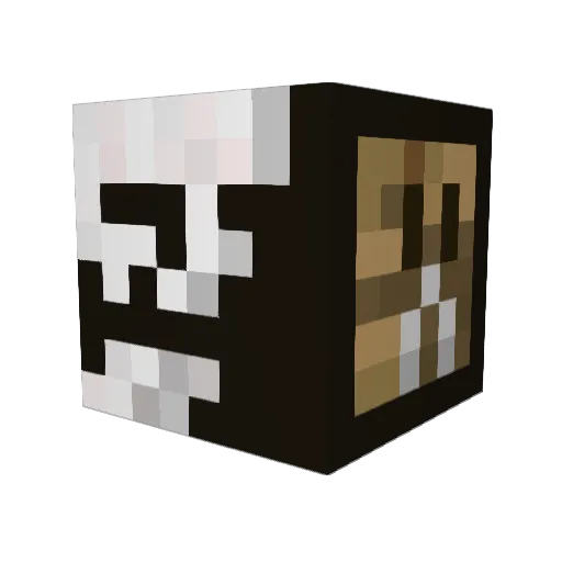 roadkillhahaXD Minecraft avatar head, 3D render