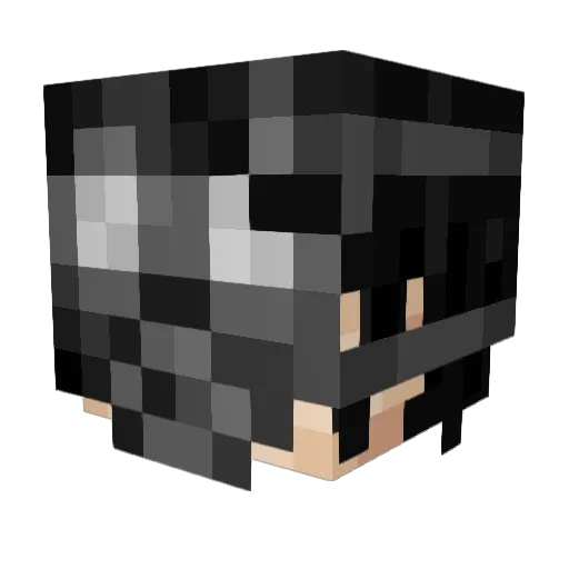roadkillmeat Minecraft avatar head, 3D render