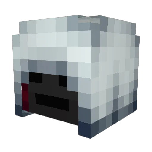 roadrunner1007 Minecraft avatar head, 3D render