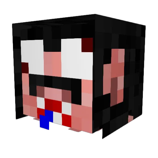 roadrunnerE Minecraft avatar head, 3D render