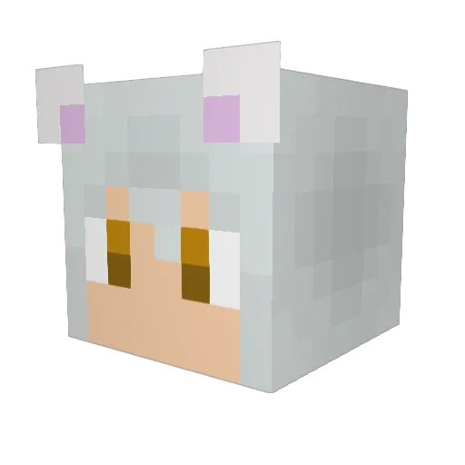 roamthesky Minecraft avatar head, 3D render
