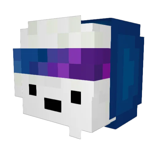 roaor Minecraft avatar head, 3D render