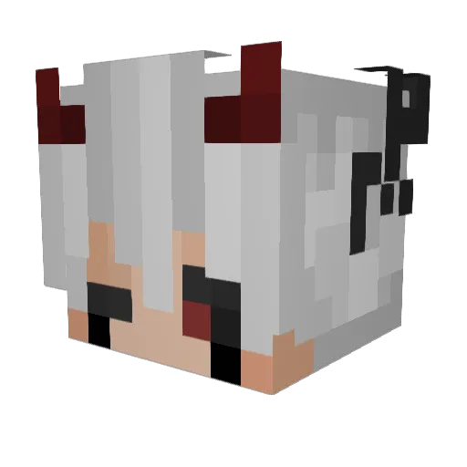 rob0707 Minecraft avatar head, 3D render
