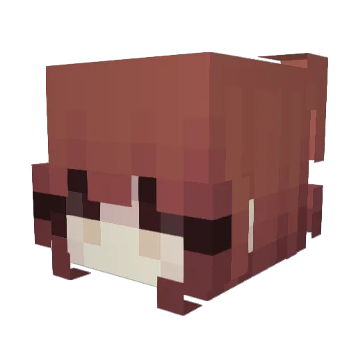 rob1592 Minecraft avatar head, 3D render