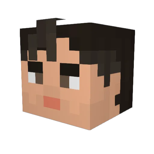 rob_chatten Minecraft avatar head, 3D render