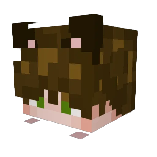 robbeis Minecraft avatar head, 3D render