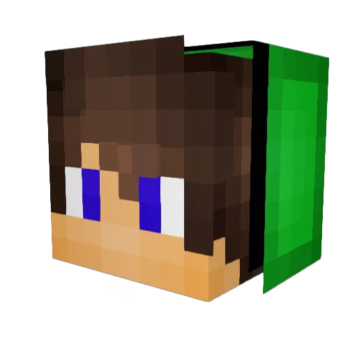 robbi_tv Minecraft avatar head, 3D render