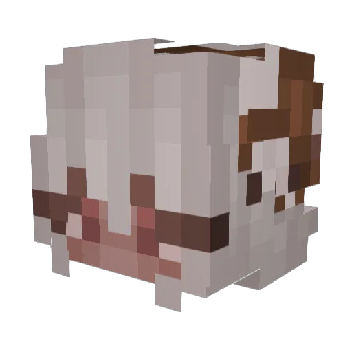 robbyrt Minecraft avatar head, 3D render