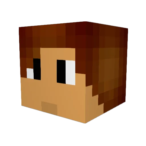 robcraft2000 Minecraft avatar head, 3D render