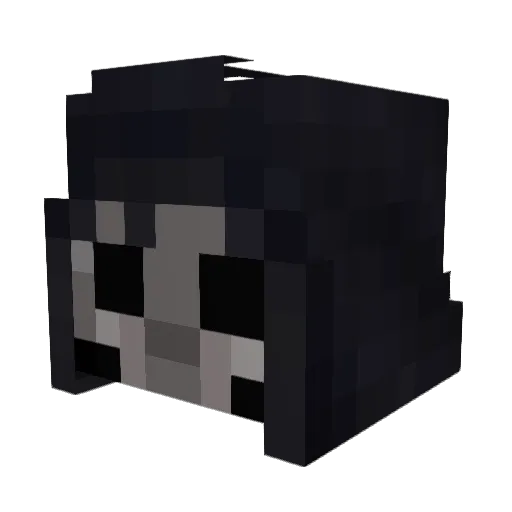 robe_999 Minecraft avatar head, 3D render
