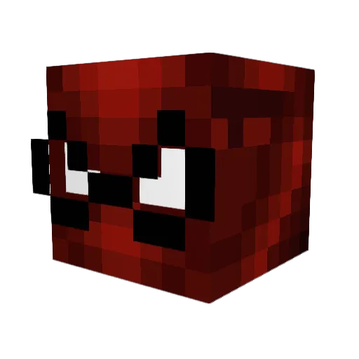 robeerr09 Minecraft avatar head, 3D render