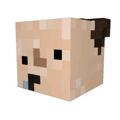 robert555 Minecraft avatar head, 3D render