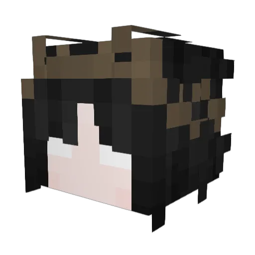 roberthood Minecraft avatar head, 3D render