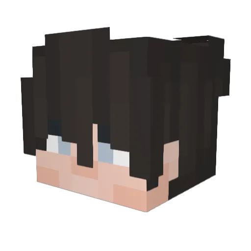 robertoo_lol Minecraft avatar head, 3D render