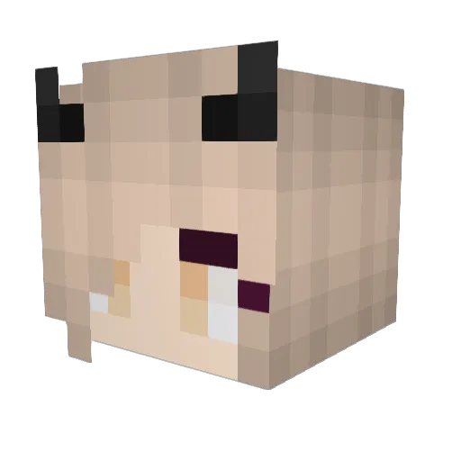 roberts_asha2004 Minecraft avatar head, 3D render