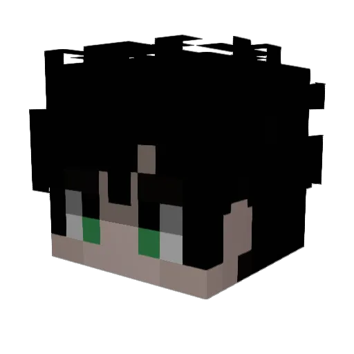 robfr_ Minecraft avatar head, 3D render