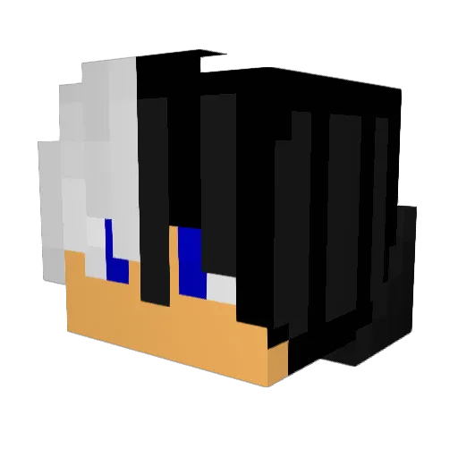 robin1043 Minecraft avatar head, 3D render