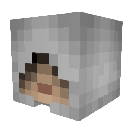 robin258 Minecraft avatar head, 3D render