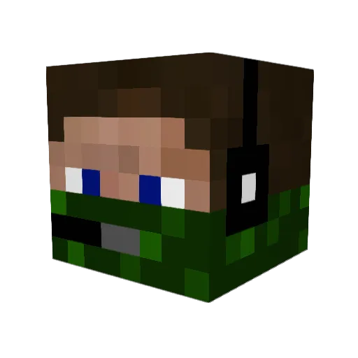 robin455 Minecraft avatar head, 3D render