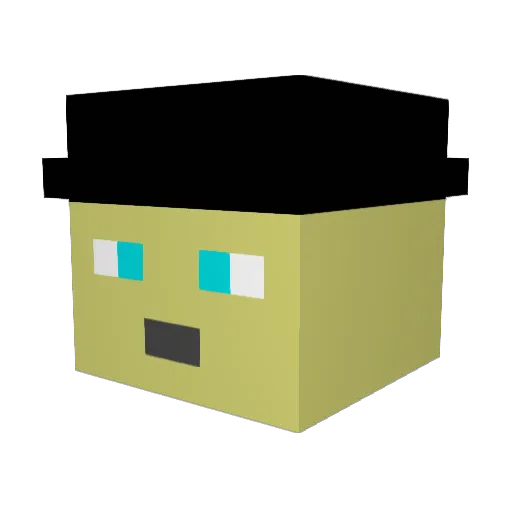 robin4747 Minecraft avatar head, 3D render