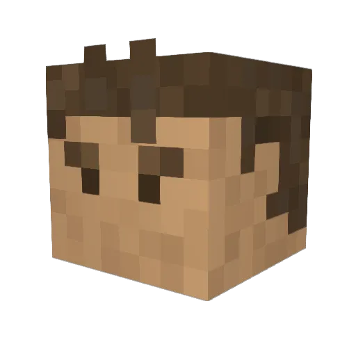 robin73 Minecraft avatar head, 3D render