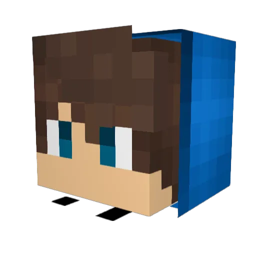 robin_2007 Minecraft avatar head, 3D render