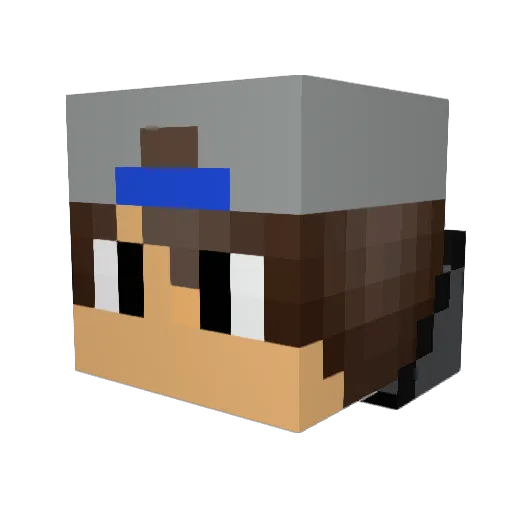 robin_dc Minecraft avatar head, 3D render