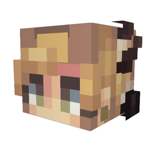 robin_esque Minecraft avatar head, 3D render