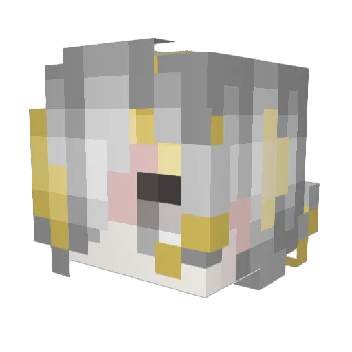 robinap Minecraft avatar head, 3D render