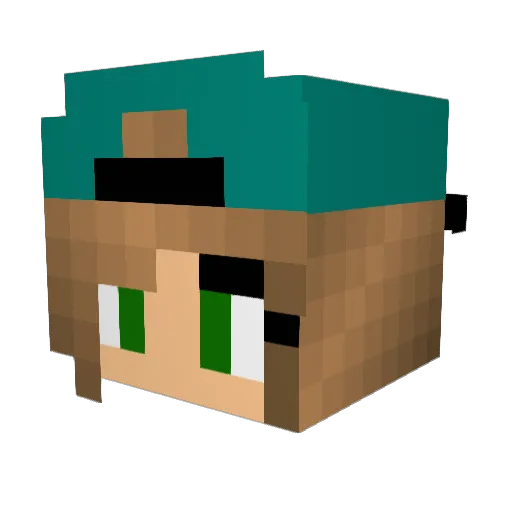 robindenstore Minecraft avatar head, 3D render