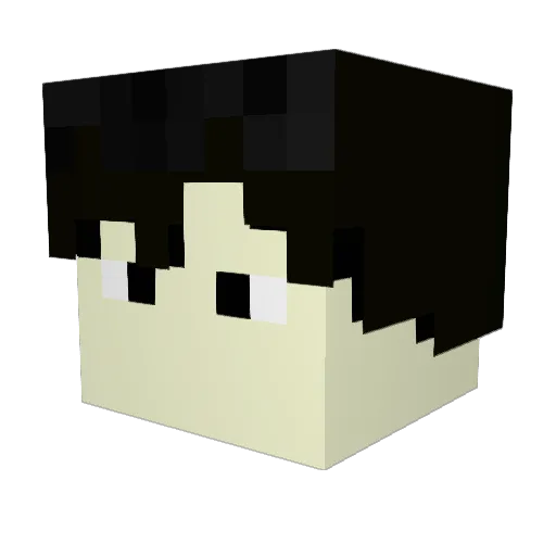 robindoue Minecraft avatar head, 3D render
