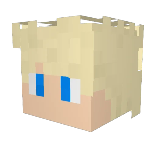 robinfan2016 Minecraft avatar head, 3D render