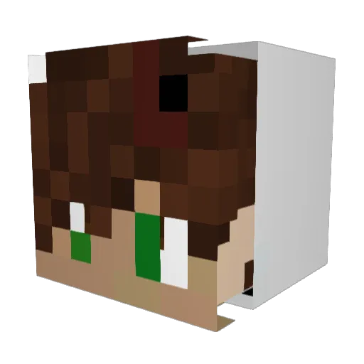 robinitzzero Minecraft avatar head, 3D render