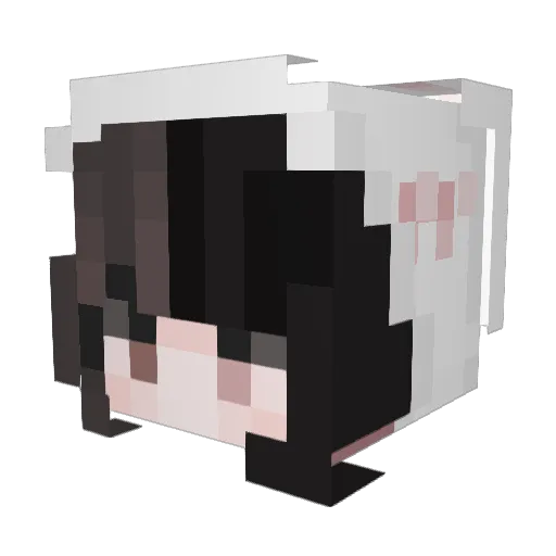 robinmotion Minecraft avatar head, 3D render