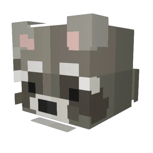 robinn_1312 Minecraft avatar head, 3D render