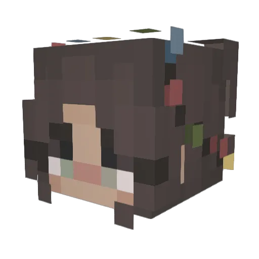 robinzenhamster Minecraft avatar head, 3D render