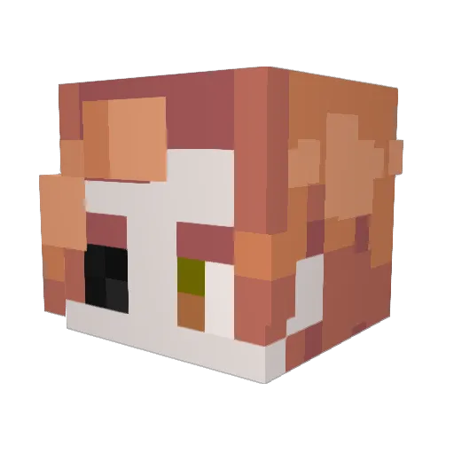 robishbeanboi Minecraft avatar head, 3D render