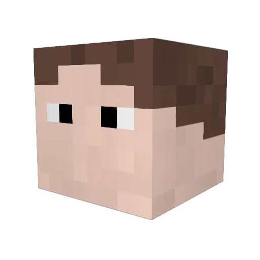 roblez_ Minecraft avatar head, 3D render